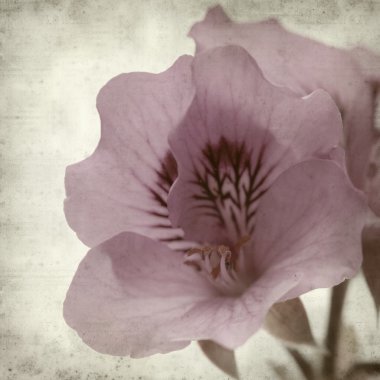 desenli eski kağıt arkaplan