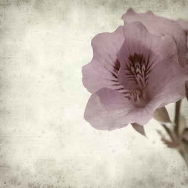 desenli eski kağıt arkaplan