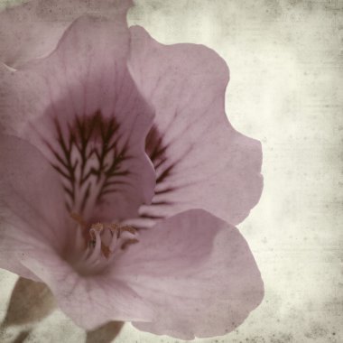 desenli eski kağıt arkaplan