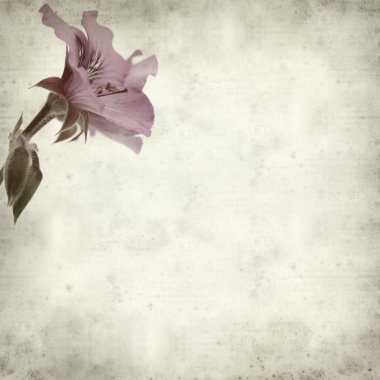 desenli eski kağıt arkaplan