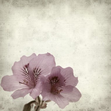 desenli eski kağıt arkaplan