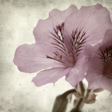 desenli eski kağıt arkaplan