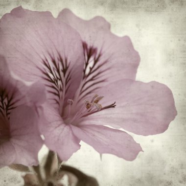 desenli eski kağıt arkaplan