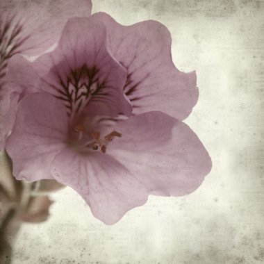 desenli eski kağıt arkaplan