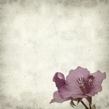 desenli eski kağıt arkaplan