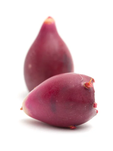 Prickly pear fruit isolated on white — Stock Photo, Image