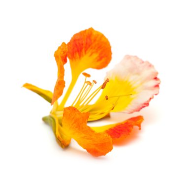 desenli eski kağıt arkaplan