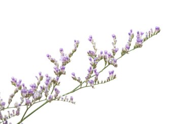 desenli eski kağıt arkaplan