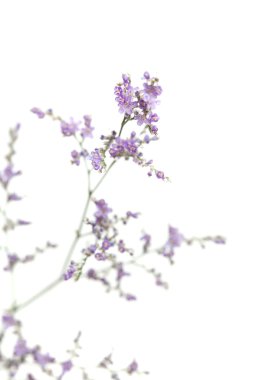 desenli eski kağıt arkaplan