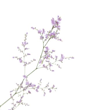 desenli eski kağıt arkaplan