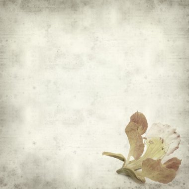 desenli eski kağıt arkaplan