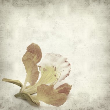 desenli eski kağıt arkaplan