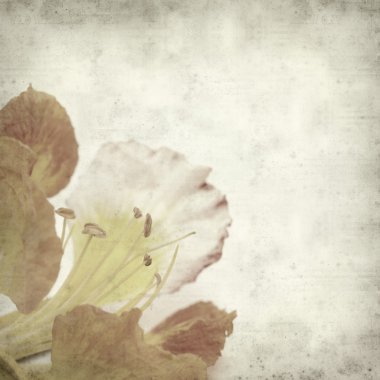 desenli eski kağıt arkaplan