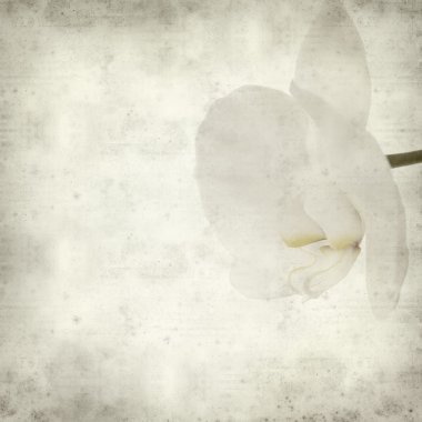 desenli eski kağıt arkaplan  