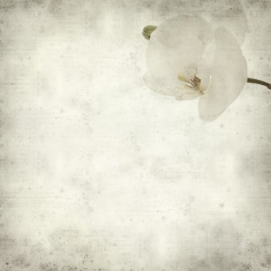 desenli eski kağıt arkaplan  