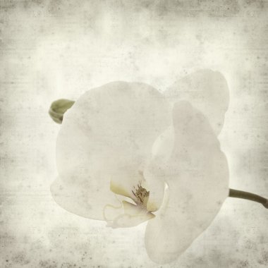 desenli eski kağıt arkaplan  