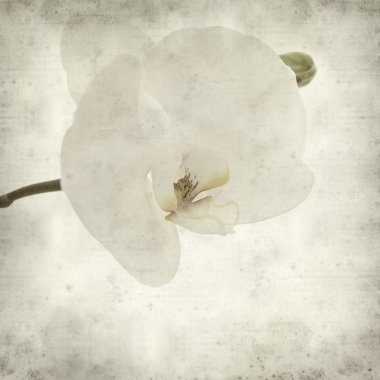 desenli eski kağıt arkaplan  