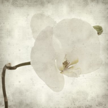 desenli eski kağıt arkaplan  