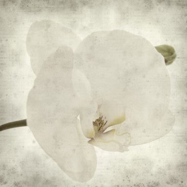 desenli eski kağıt arkaplan  