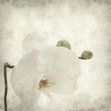 desenli eski kağıt arkaplan  