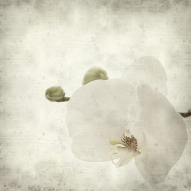 desenli eski kağıt arkaplan  