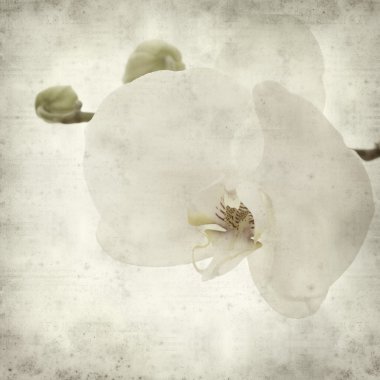 desenli eski kağıt arkaplan  