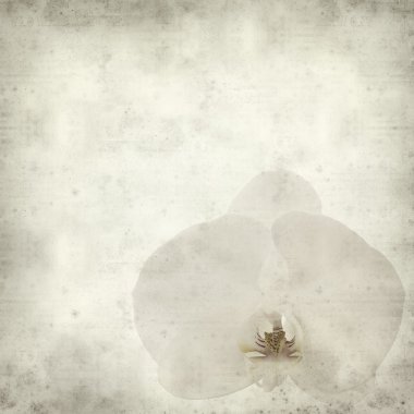 desenli eski kağıt arkaplan  