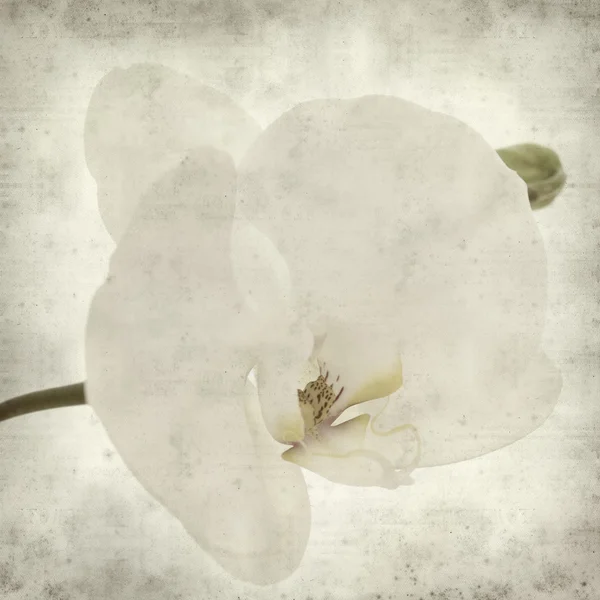 desenli eski kağıt arkaplan  