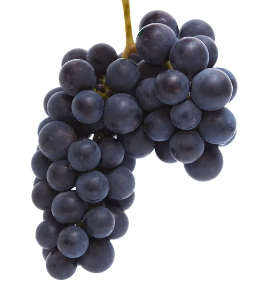 Black grapes isolated — Stockfoto