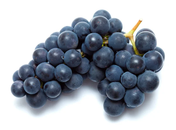 Black grapes isolated — Stock Photo, Image