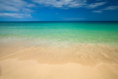 Fuerteventura, jandia temiz plaj