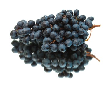 black grapes isolated