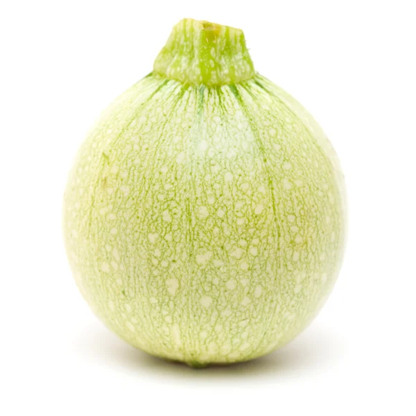 Weiße Zuccini — Stockfoto