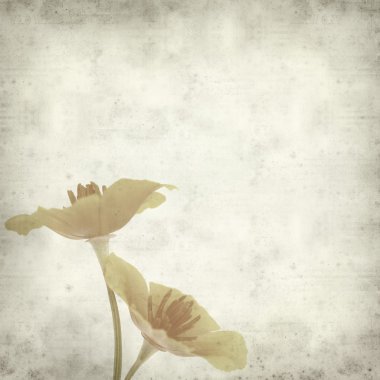 desenli eski kağıt arkaplan  