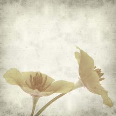 desenli eski kağıt arkaplan  