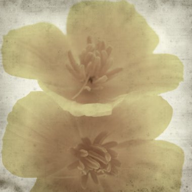 desenli eski kağıt arkaplan  