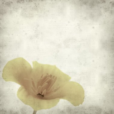 desenli eski kağıt arkaplan  