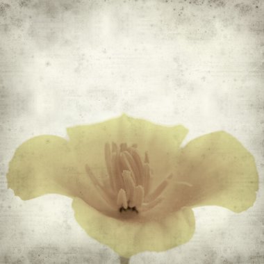 desenli eski kağıt arkaplan  