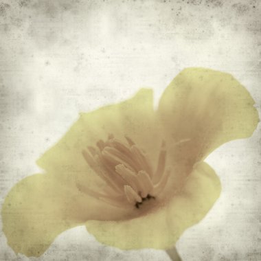 desenli eski kağıt arkaplan  