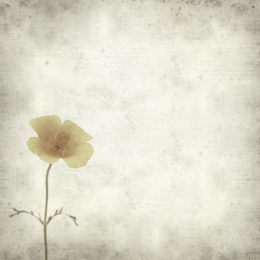 desenli eski kağıt arkaplan  