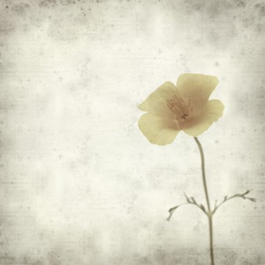 desenli eski kağıt arkaplan  