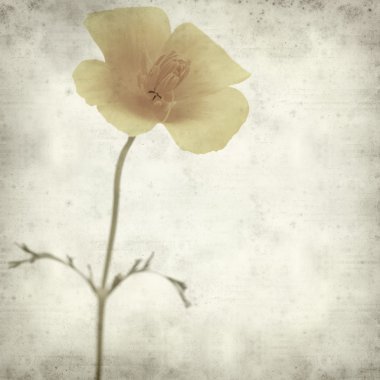 desenli eski kağıt arkaplan  