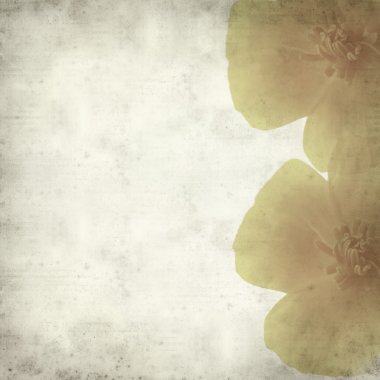 desenli eski kağıt arkaplan  