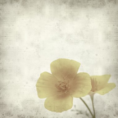 desenli eski kağıt arkaplan  