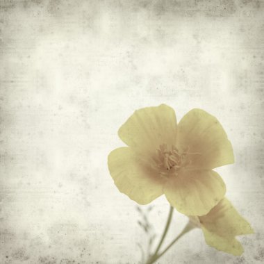 desenli eski kağıt arkaplan  