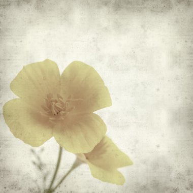 desenli eski kağıt arkaplan  