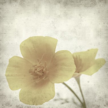 desenli eski kağıt arkaplan  