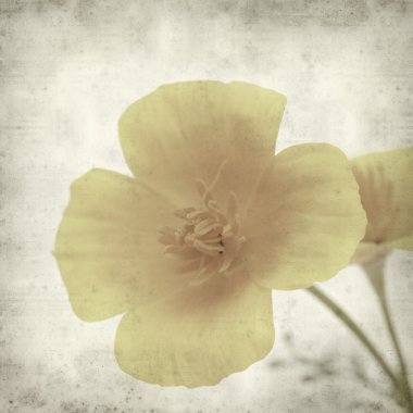 desenli eski kağıt arkaplan  