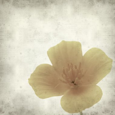 desenli eski kağıt arkaplan  