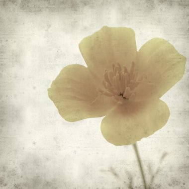 desenli eski kağıt arkaplan  